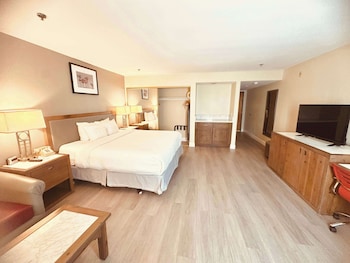 Junior Suite, 1 King Bed, Non Smoking