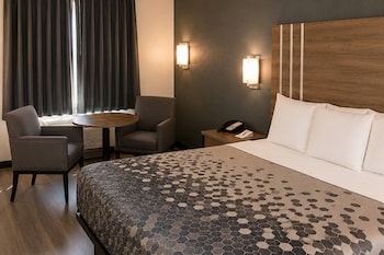 Standard Room, 1 King Bed, Smoking