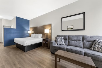 Standard Room, 1 King Bed, Accessible, Non Smoking