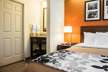 Standard Room, 1 King Bed, Non Smoking