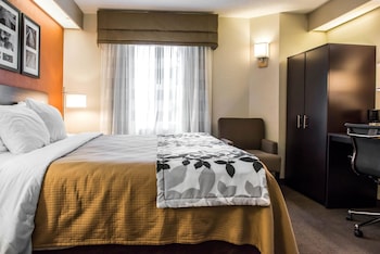 Standard Room, 1 King Bed, Non Smoking