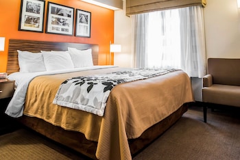 Room, 1 King Bed, Accessible, Non Smoking