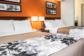 Standard Room, 2 Double Beds, Non Smoking