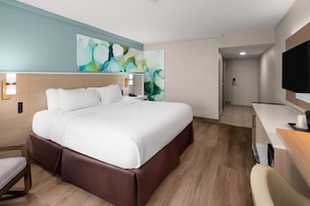 Room, 1 King Bed, Mobility Accessible, Non Smoking (Roll-In Shower)