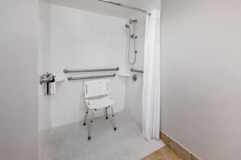 Room, 1 King Bed, Mobility Accessible, Non Smoking (Roll-In Shower)