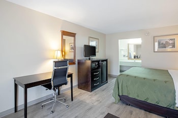 Room, 1 King Bed, Accessible, Non Smoking