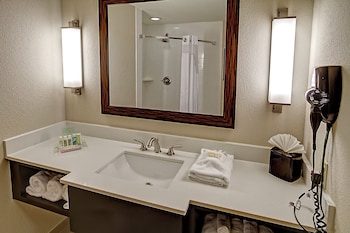 Suite, 1 King Bed with Sofa bed