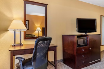 Room, 1 King Bed, Accessible, Non Smoking