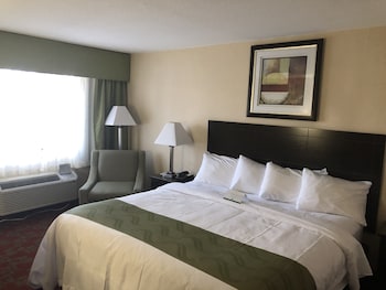 Standard King Room