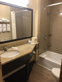 Room, 1 King Bed, Non Smoking, Pet Friendly