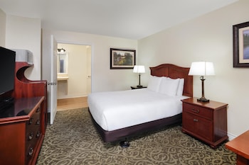 Standard Room, 1 Queen Bed, Accessible, Non Smoking