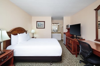 Standard Room, 1 Queen Bed, Non Smoking, Refrigerator & Microwave