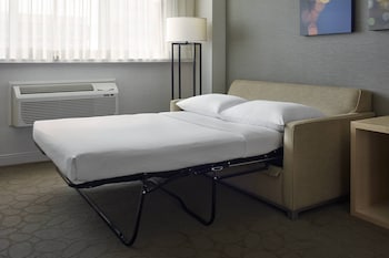 Room, 1 King Bed with Sofa bed