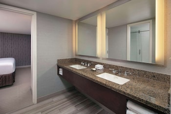 Suite, 1 King Bed with Sofa bed