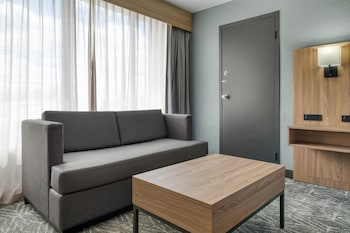 Standard Room, 1 King Bed, Non Smoking, Refrigerator & Microwave (Larger Room)
