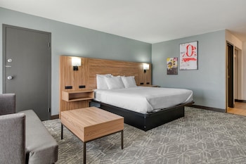 Standard Room, 1 King Bed, Non Smoking, Refrigerator & Microwave (Larger Room)