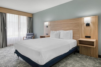 Standard Room, 1 King Bed, Non Smoking, Refrigerator & Microwave
