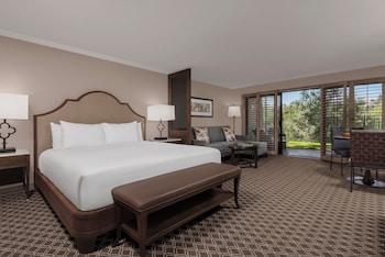 Studio Suite, Mobility Accessible (View)