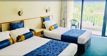 Deluxe Mountain View Double or Twin