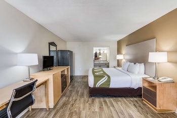 Suite, 1 King Bed with Sofa bed, Non Smoking