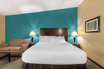 Standard Room, 1 King Bed, Non Smoking (with Sofabed)