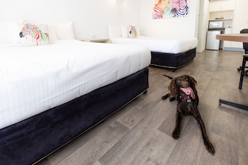 Pet Friendly Deluxe Family Room with Two Queen Beds