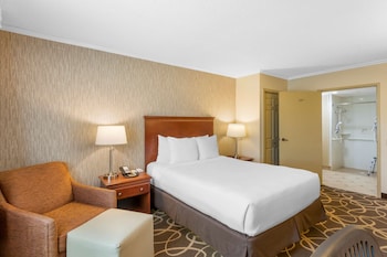 Standard Room, 1 King Bed, Non Smoking, Refrigerator & Microwave (Pet Friendly)