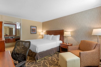 Standard Room, 1 King Bed, Refrigerator & Microwave, Courtyard View (Pet Friendly)