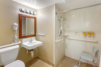 Standard Room, 1 Queen Bed, Accessible, Refrigerator & Microwave (Pet Friendly)