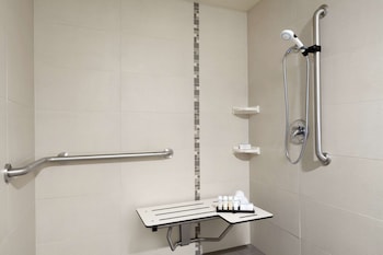 Suite, Accessible (Roll-in Shower)