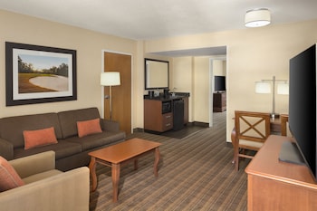 Suite, 1 King Bed with Sofa bed, Mobility Accessible, Microwave