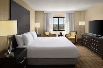 Presidential Suite, 1 King Bed with Sofa bed, Microwave