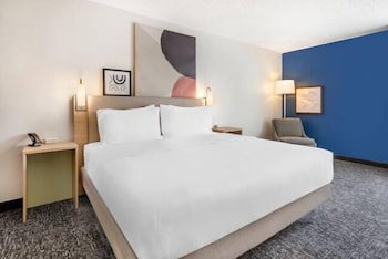 Room, 1 King Bed