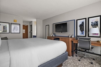Room, 1 King Bed, Non Smoking
