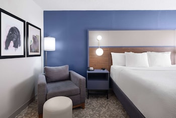 Room, 1 King Bed, Non Smoking