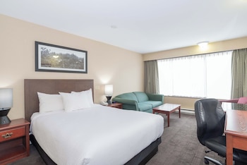 Standard Room, 1 Queen Bed with Sofa bed