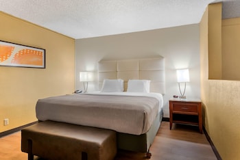 Suite, 1 King Bed with Sofa bed, Non Smoking
