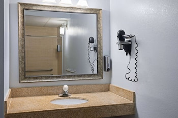 Room, 1 King Bed, Accessible, Non Smoking (Roll-In Shower)