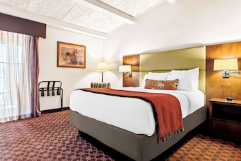 Standard Room, 1 Queen Bed, Non Smoking, Refrigerator & Microwave