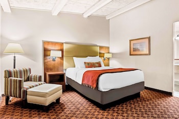 Standard Room, 1 Queen Bed, Non Smoking, Refrigerator & Microwave