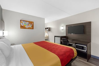 Room, 1 King Bed, Smoking