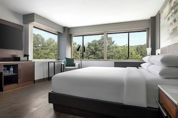 Club Room, 1 King Bed