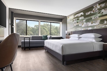 Concierge Room, Room, 1 King Bed