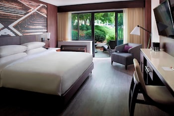 Room, 1 King Bed
