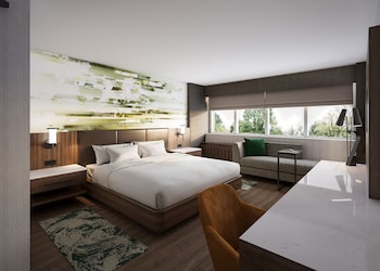 Concierge Room, Room, 1 King Bed
