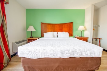 Room, 1 King Bed