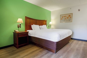 Room, 1 King Bed