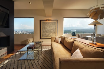 Suite, 1 King Bed (Primary)