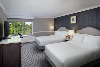 Standard Double Room, 2 Queen Beds