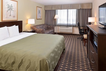 Suite, 1 King Bed with Sofa Bed, Non Smoking